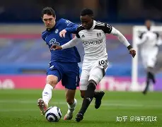 爱游戏电竞-米堡是哪只球队